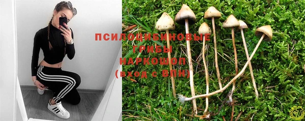 герыч Медвежьегорск